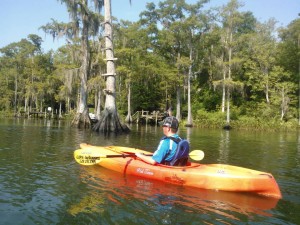 Auf Kayaktour mit Schildkröten, Manatees und Krokodilen am 07.09.2014