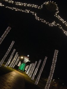 Haupteingang meines Colleges mit beleuchteter Palmen Allee und Springbrunnen 