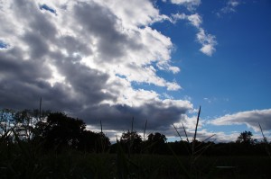 Sieht man hier ganz gut dass ziemlich viel Regenwolken unterwegs waren